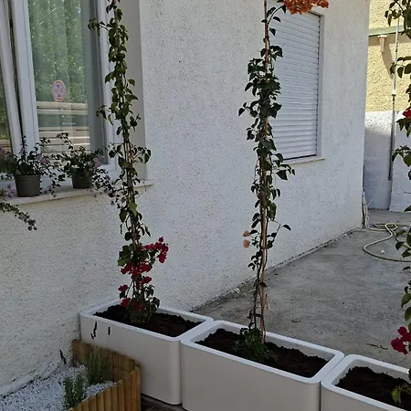 度假居 Casa Mina *